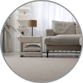 Professional Carpet Cleaning Services