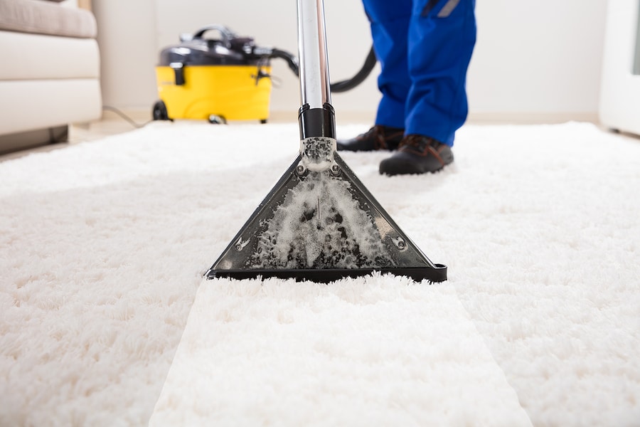 3 Reasons to Choose Carr’s Rug Cleaning