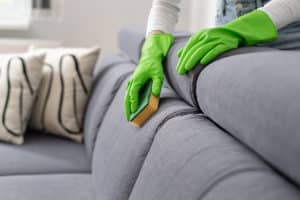 3 Step Upholstery Cleaning Process